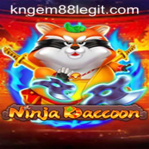 Enter the World of NinjaRaccoon: A Thrilling Gaming Adventure